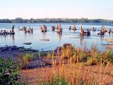 tribal lands