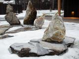 Turtle Island Spirits 